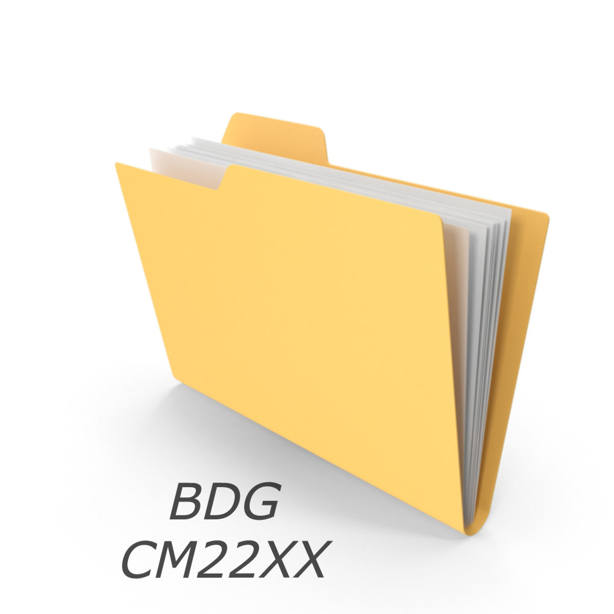 Metafile BDG - CM22XX